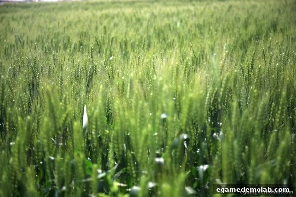 电子游艺试玩精析：SG游戏返还率核心影响因素与套利策略实战指南